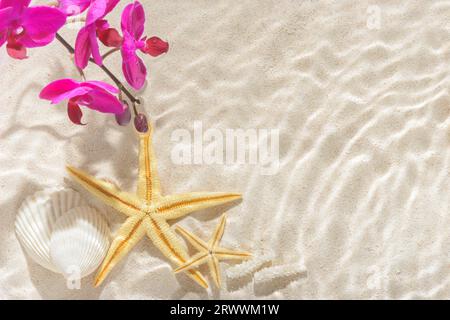 sun lights with hard shadow in wavy water on abstract sand background with orchid, shell, starfish, beautiful abstract spa concept banner of sea parad Stock Photo