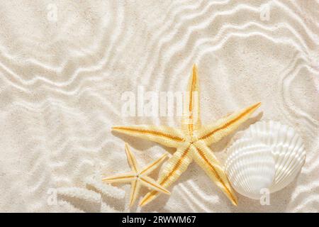 sun lights with hard shadow in wavy water on abstract sand background with shell, starfish, beautiful abstract spa concept banner of sea paradise isla Stock Photo