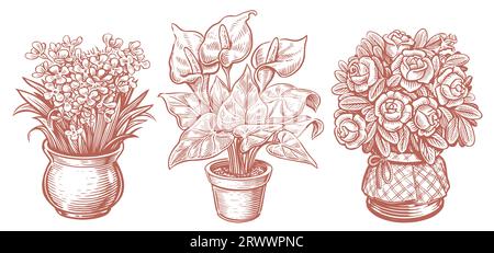 Indoor plants in pots. Home flowers set. Hand drawn sketch vintage vector illustration Stock Vector