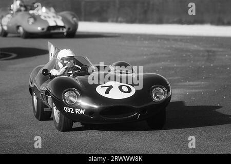 1955 Jaguar D-type 'long nose' driven by Gary Pearson in the Sussex Trophy race at The Goodwood Revival Meeting 10th Sept 2023 in Chichester, England. Stock Photo