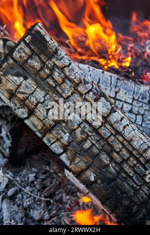 d close up of burnt and charred logs in fire with flames in background Stock Photo