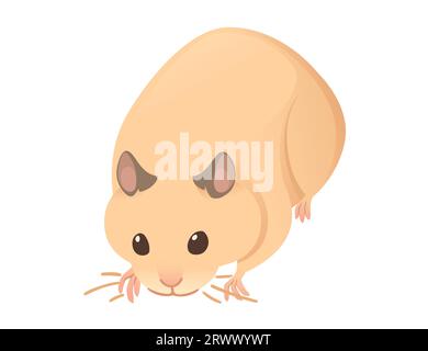 Light brown hamster cute cartoon animal design vector illustration isolated on white background Stock Vector