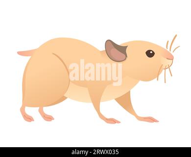 Light brown hamster cute cartoon animal design vector illustration isolated on white background Stock Vector