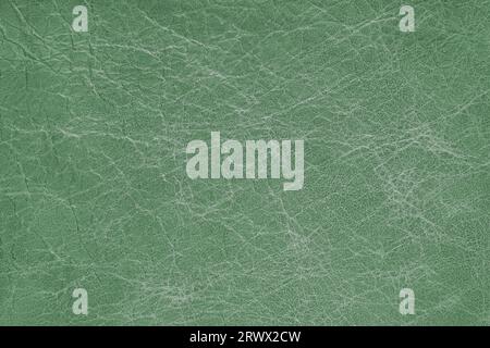 Genuine green coarse textured leather, eco friendly leatherette background. Material for upholstery and interior design, sport items and clothes. Wall Stock Photo