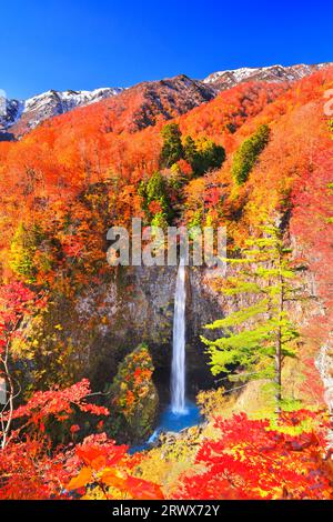 Autumn Shirasui Waterfall with Autumn Leaves and Snow-capped Hakusan ...