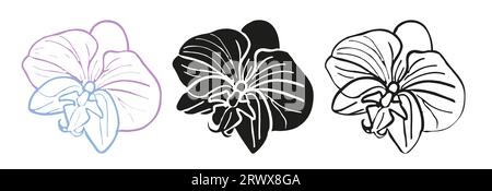 Orchid tropical silhouette, line art flower head set. Vector hand drawn illustration for design of card or invite, logo. Stock Vector