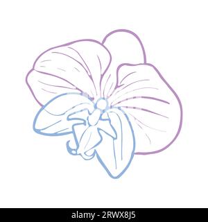 Orchid tropical flower head. Vector hand drawn illustration in pastel color for design of card or invite, logo. Stock Vector