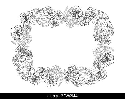 Tropical king protea and orchid flower line art frame boarder, hand drawn sketch flower head in black and white color. Vector background for card or i Stock Vector