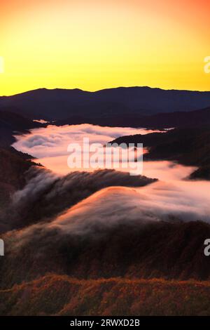 The sea of clouds, the autumn leaves, and the morning glow sky at Okutadamiko Stock Photo