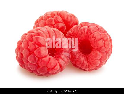 raspberry path isolated on white Stock Photo