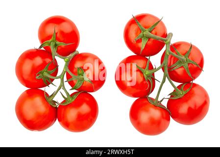 tomato branch path isolated on white Stock Photo