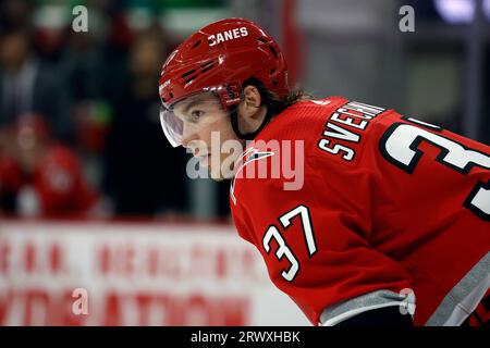 Nhl no contact clearance jersey