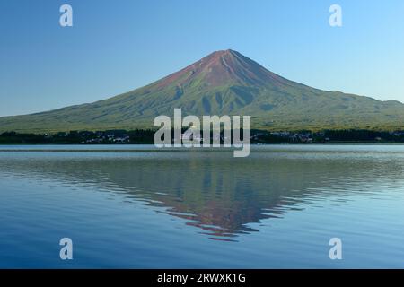 Yamanashi Mount Fuji in summer reflected in Lake Kawaguchi Stock Photo