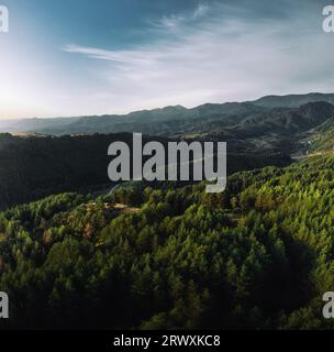 Epic drone photo above the vibrant green forest with a beautiful view of the mountains in the back. Stock Photo