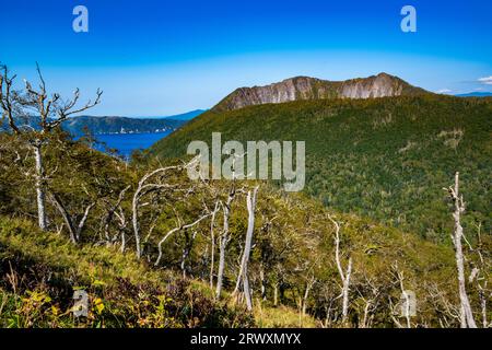 Lake Mashu and Birch Forest Stock Photo