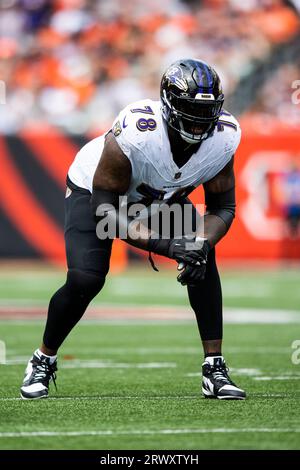 Baltimore Ravens tackle Morgan Moses (78) blocks during the second half of  an NFL football game against the New England Patriots, Sunday, Sep. 25,  2022, in Foxborough, Mass. (AP Photo/Stew Milne Stock Photo - Alamy