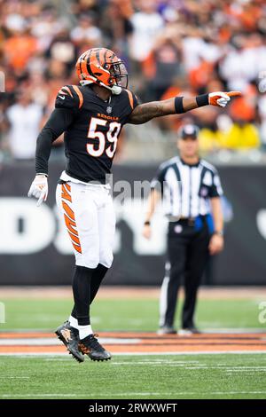 Syndication: The Enquirer Cincinnati Bengals linebacker Akeem Davis-Gaither  (59) knocks the ball