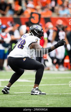 Morgan Moses of the Baltimore Ravens blocks against the Denver