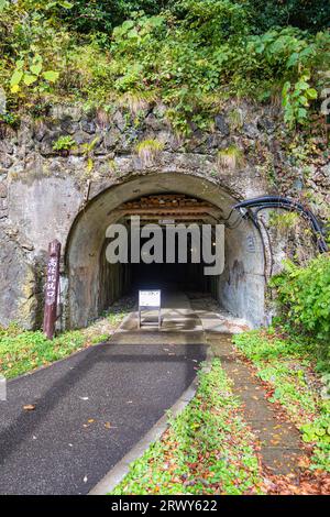 Takato shaft entrance of the Meiji government-run mine course at Sadokinzan Stock Photo