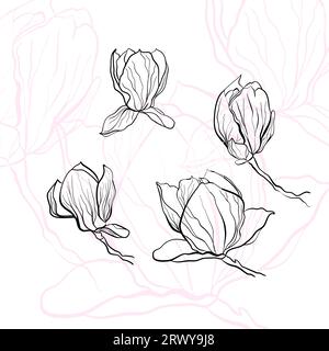 Vector illustration with magnolia flowers in doodle technique Stock Vector