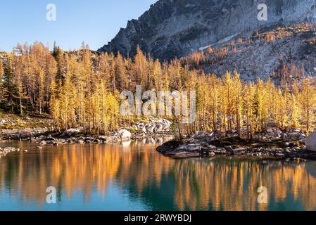 Fall color of larches reflecting in the afternoon sun on Leprechaun Lake in the Enchantment Lakes Wilderness in Washington State Stock Photo