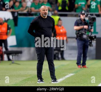 Dejan Stankovic Head coach of FK Crvena zvezda reacts during the UEFA  Champions League match at Giuseppe Meazza, Milan. Picture date: 25th  February 2021. Picture credit should read: Jonathan Moscrop/Sportimage via  PA