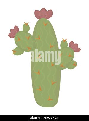 High long green cactus with flowers, color vector illustration Stock Vector