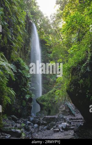 waterfall in laurel forest at Los Tilos, Canary Islands, La Palma, Los Sauces Stock Photo