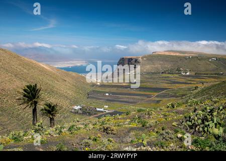 field landscape in Valle de Guinate, Canary Islands, Lanzarote, Haria Stock Photo