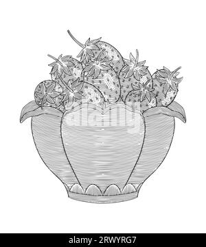 Strawberry in vase, vintage engraving drawing style vector illustration Stock Vector