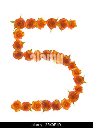 Number 5 made of sweetheart rose blossom of colorful  wet yellow to red blooms, full of patterns, lines & shape on white background. Stock Photo