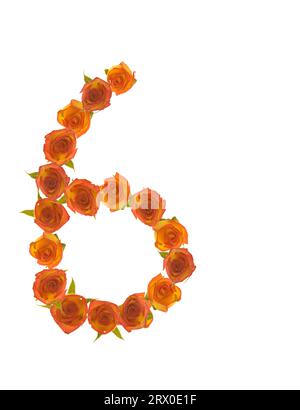Number 6 made of sweetheart rose blossom of colorful  wet yellow to red blooms, full of patterns, lines & shape on white background. Stock Photo