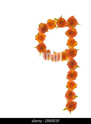 Number 9 made of sweetheart rose blossom of colorful  wet yellow to red blooms, full of patterns, lines & shape on white background. Stock Photo