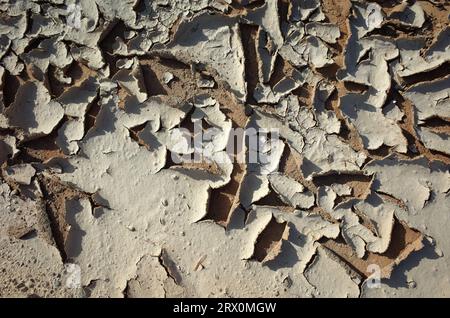 Cracked dried mud texture Stock Photo
