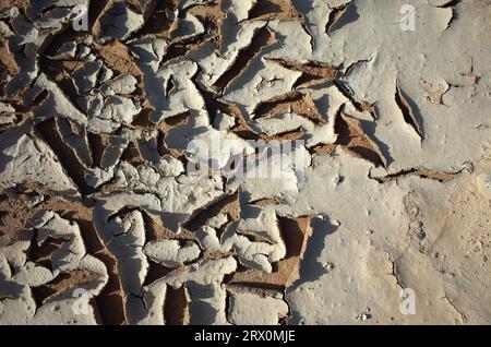 Cracked dried mud texture Stock Photo