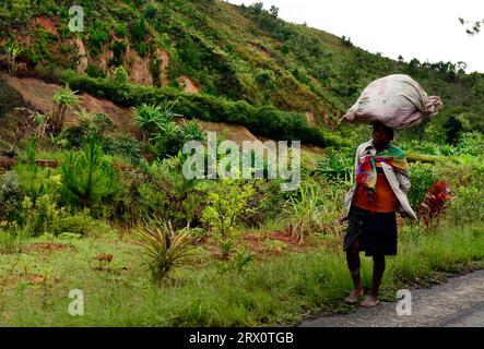 A Malagasy woman carrying a heavy bag on her head along the road in central Madagascar. Stock Photo