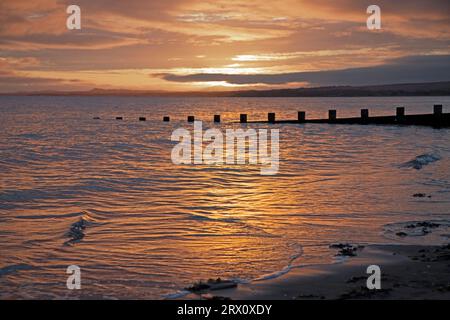 Portobello, Edinburgh, Scotland, UK 22nd September 2023. Unusual visitor for a cold water swim with a moody sunrise at the shore of the Firth of Forth. Temperature 10 degrees centigrade. Stock Photo