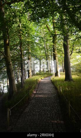 Nature trails at the Louisiana Museum of Modern Art in  Humlebaek, Denmark. Stock Photo