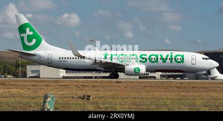 Avión de línea de la aerolínea Transavia aterrizando en Alicante Stock Photo