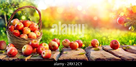 Red Apples On Table In Basket In The Sunny Green Orchard - Harvest Concept Stock Photo