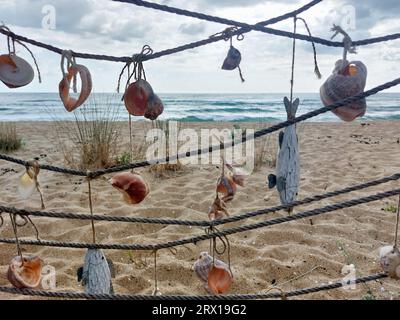 Collection of sea snails and fish hanging on rope on the beach. Sandy beach and sea Stock Photo