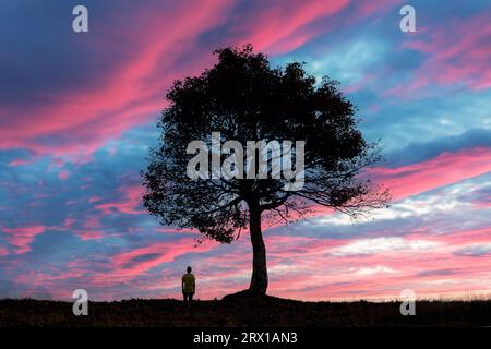 Lonely man near the big old tree at evening field during sunset. Dramatic colorful scene with cloudy purple sky. Religion concept Stock Photo
