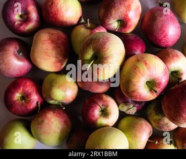 Close-up still life image of reg and green apples Stock Photo