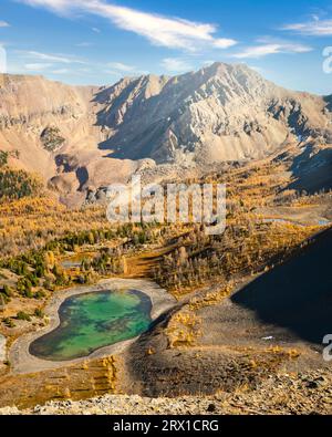 Golden Larch Mountain Portrait in the Purcell Mountains, British Stock Photo