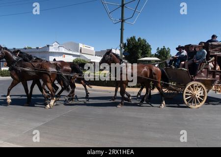 an old Cobb and Co stage coach lead by horses travel down main street of Longreach in western Queensland, Austraia Stock Photo