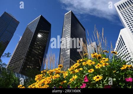 Skyscrapers of Calgary. Up view on skyscrapers of Calgary. Stock Photo