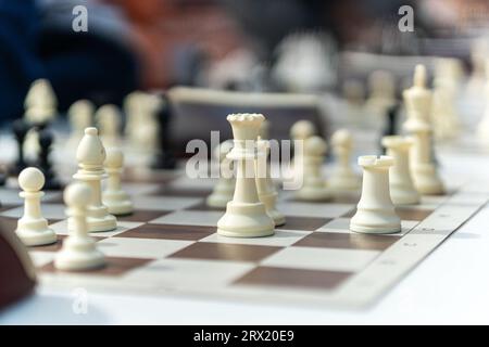 The game of chess. move in chess, white pawn. Large wooden chess set. white chess pieces on the board Stock Photo
