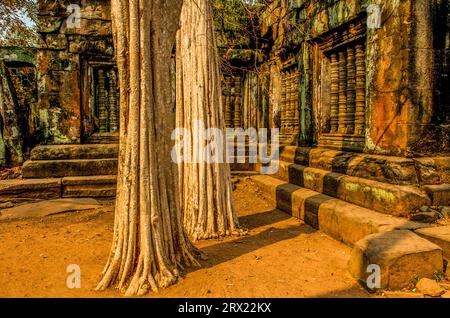 ancient windows in the jungle, Prasat Krahom (Red Temple), Prasat Thom, Koh Ker, Preah Vihear Province, Cambodia. © Kraig Lieb Stock Photo