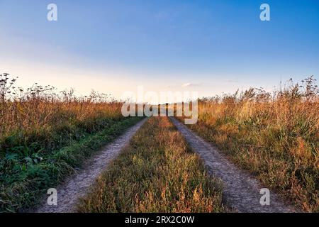 Dirt road leading to the horizon. Landscape with a dirt road through a field with grass in the countryside Stock Photo