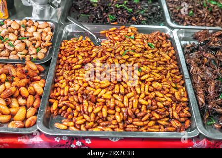 Thai food deep fried spicy silk worms and insects at night street market in Phuket, Thailand. Roasted bugs on counter sale in Asia. Exotic natural lar Stock Photo